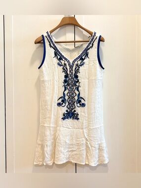 Blue and White Shift Dress
